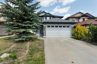 19 EVERWILLOW Green