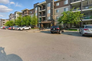 315 - 7130 80 Avenue
