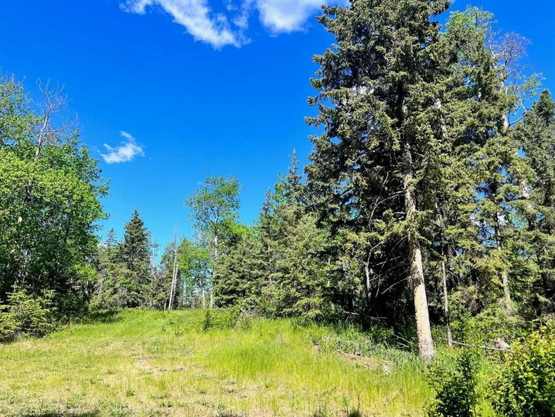13 - 421022 Range Road 260