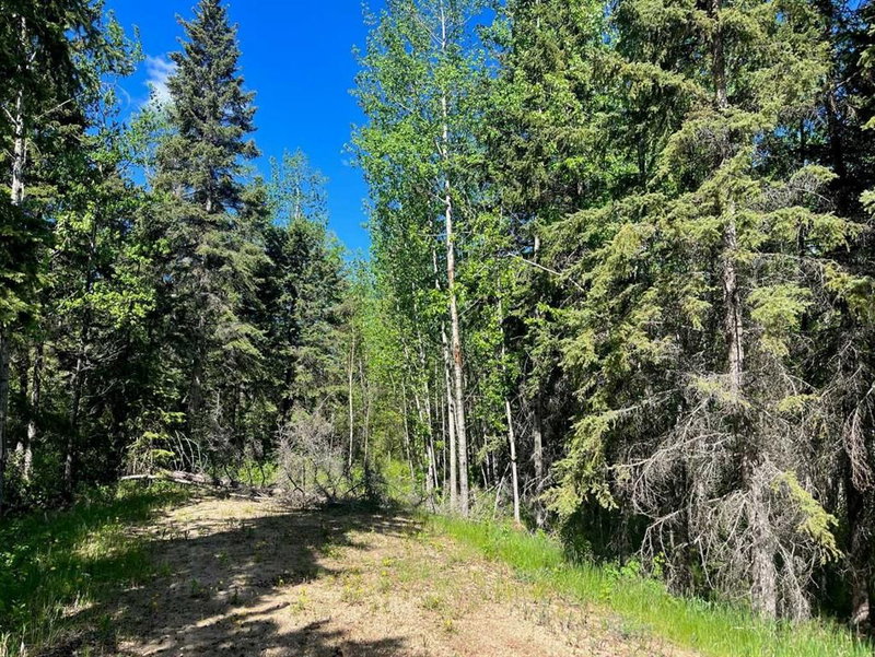 13 - 421022 Range Road 260