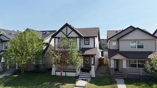163 Skyview Springs Manor