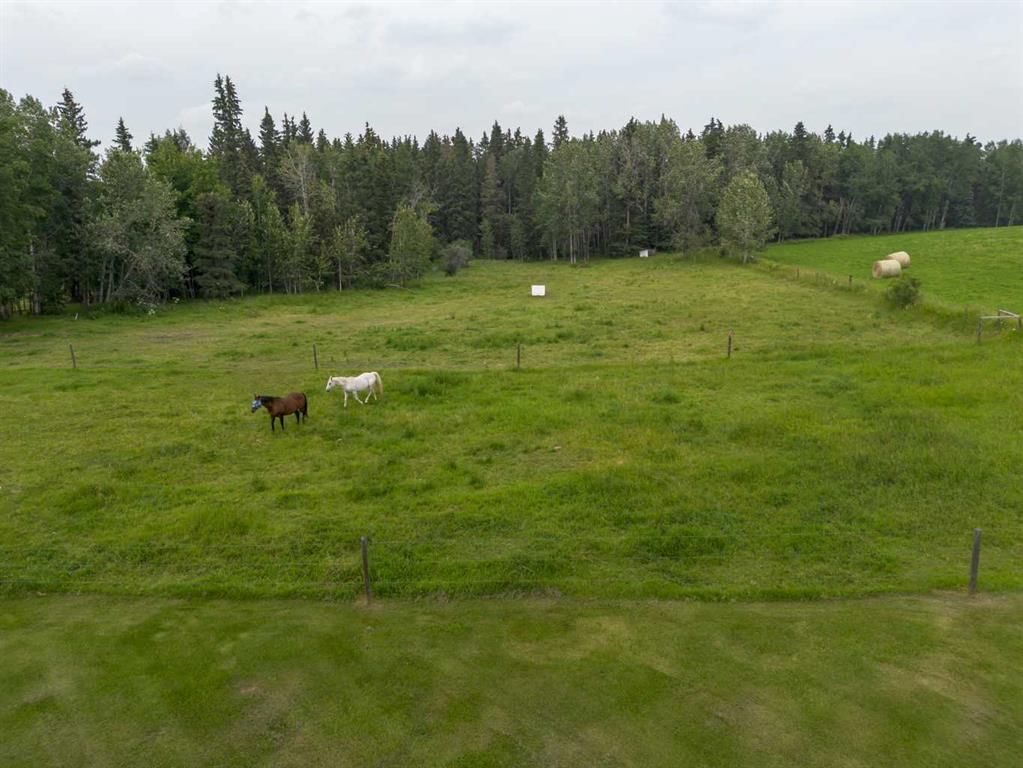 Listing Image 38