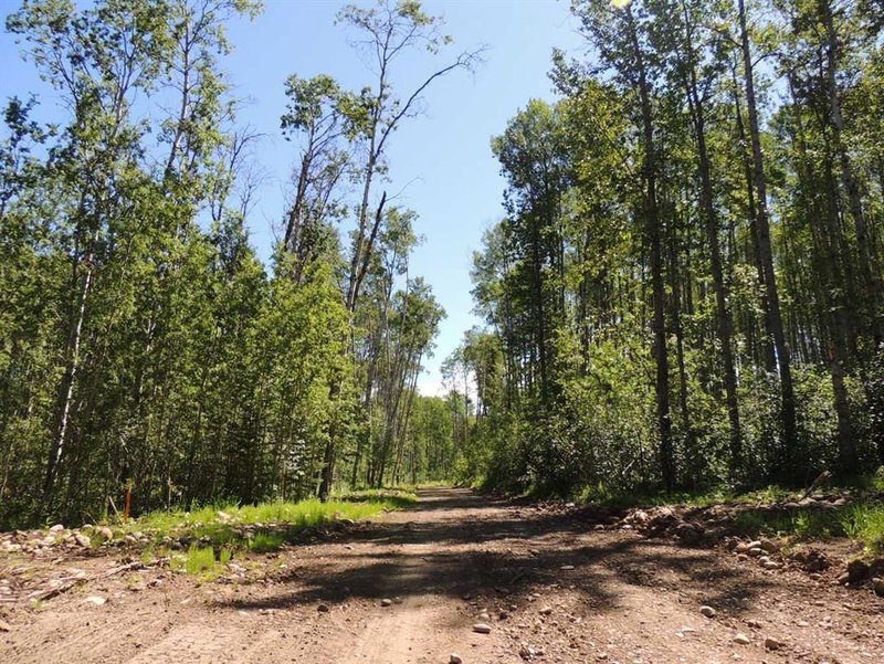 Lot 27 - Wapiti River SW-21-69-10-W6, Rural Grande Prairie No. 1, County of, T0H 1J0 | Image 2