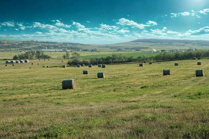 402 Avenue W, Rural Foothills County, T1S 2E4 | Image 2