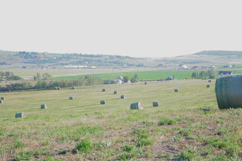 402 Avenue W, Rural Foothills County, T1S 2E4 | Image 3