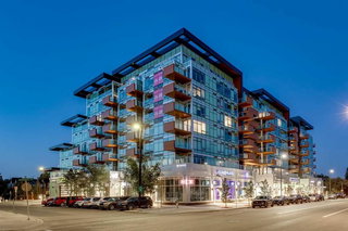 423 - 110 18A Street NW