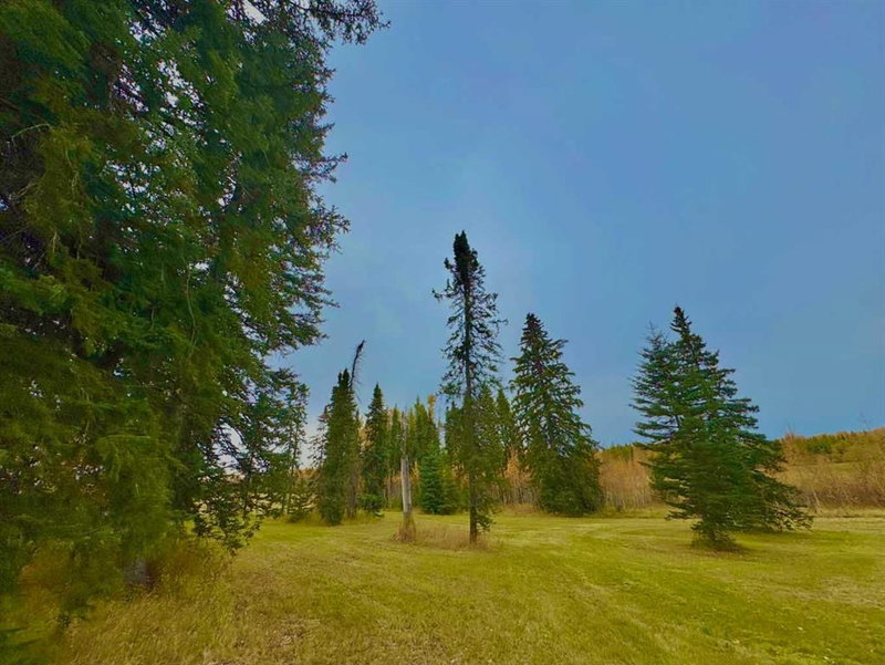 309 Valley View Drive, Rural Clearwater County — listing photo 3