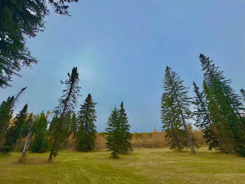 309 Valley View Drive, Rural Clearwater County — listing photo 4