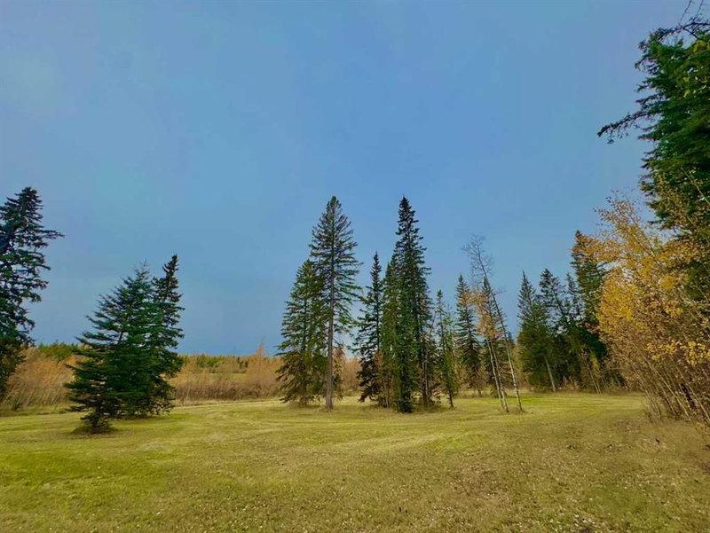 309 Valley View Drive, Rural Clearwater County — listing photo 5