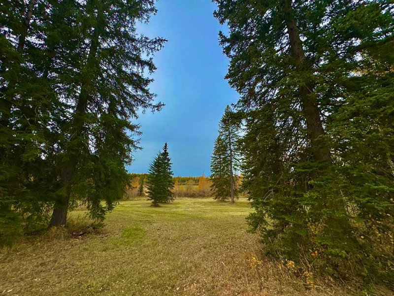 309 Valley View Drive, Rural Clearwater County — listing photo 6