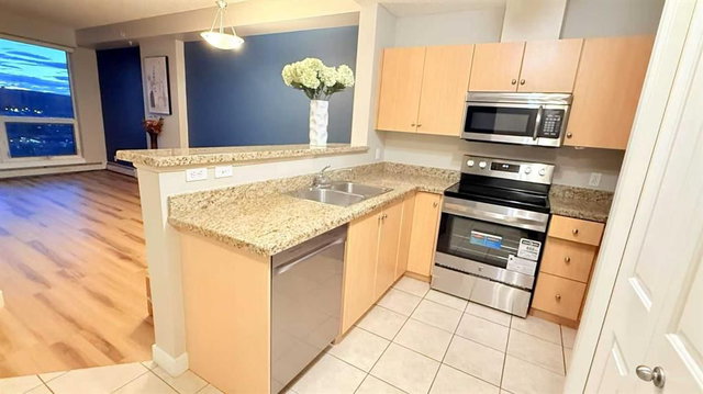 1411 - 1053 10 Street SW