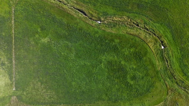 NW Corner (3+/- 52067 RR 224