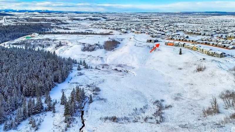 57 Legacy Forest Heights SE, Calgary, T2X 4J3 | Image 3