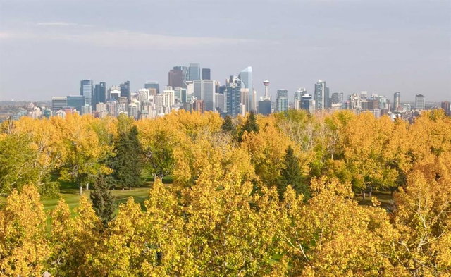 3803 - 24 Hemlock Crescent SW