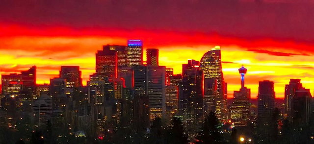 3803 - 24 Hemlock Crescent SW