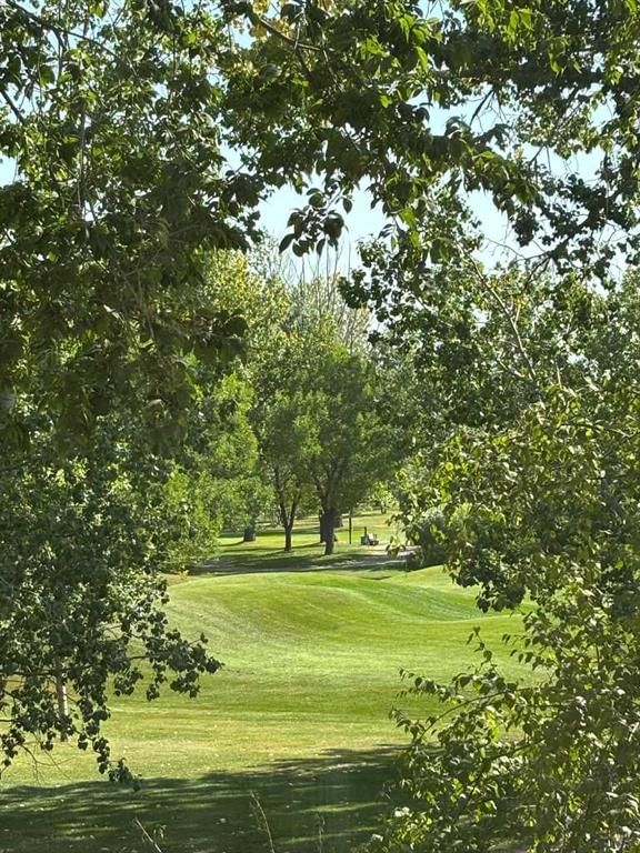 7204 - 14 Hemlock Crescent SW