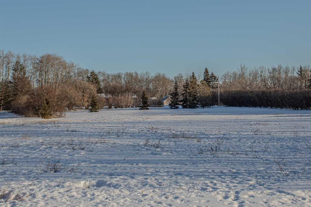 Listing Image 42