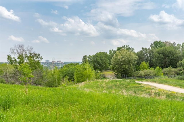 31 - 528 Cedar Crescent SW