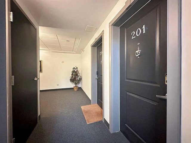 201 - 509 21 Avenue SW