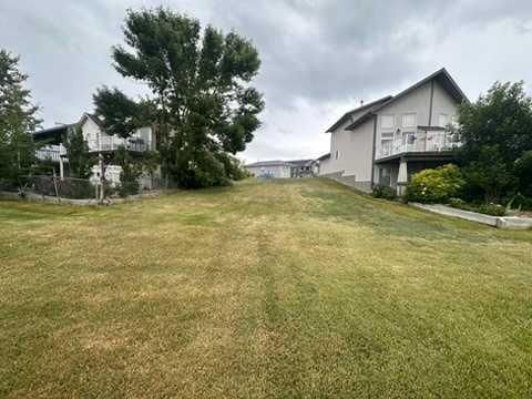 95 white pelican View