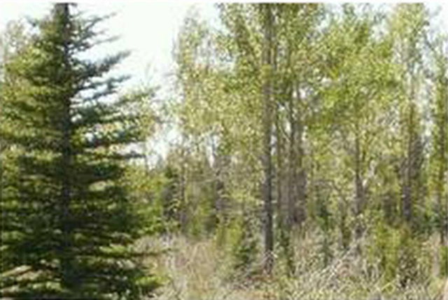 Address not available