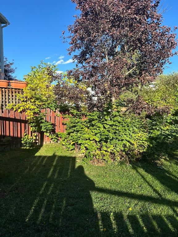 Listing Image 24