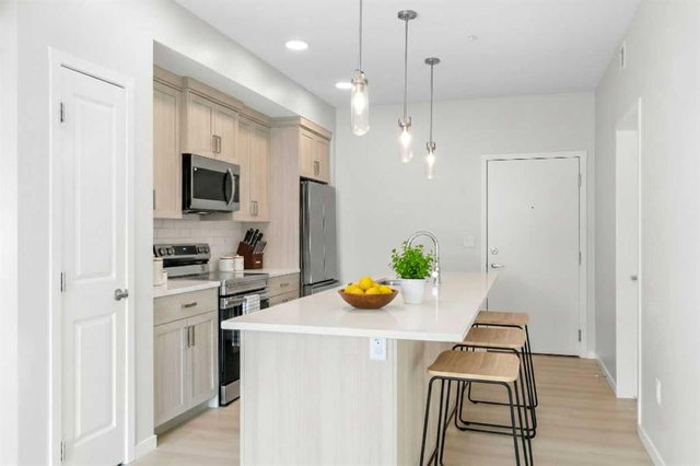 4210 - 550 Belmont Street SW