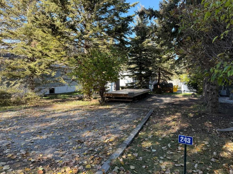 6 TIMBER AVENUE - 5230 27 Highway