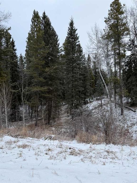 514 CLEARWATER ESTATES Crescent