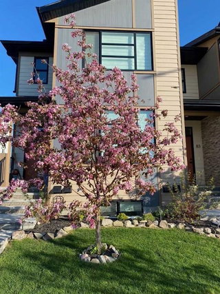 91 Wolf Hollow Park SE