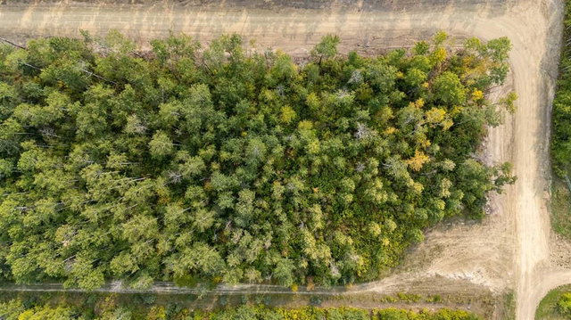 7 Crane Lane Murphy Lake