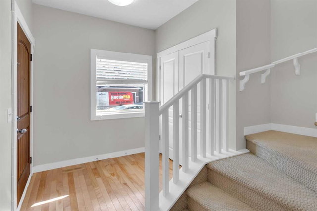 24 Royal Birch Park NW