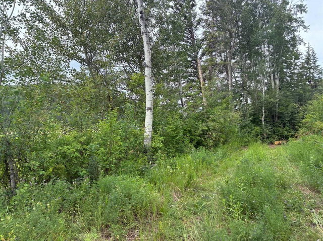 Address not available