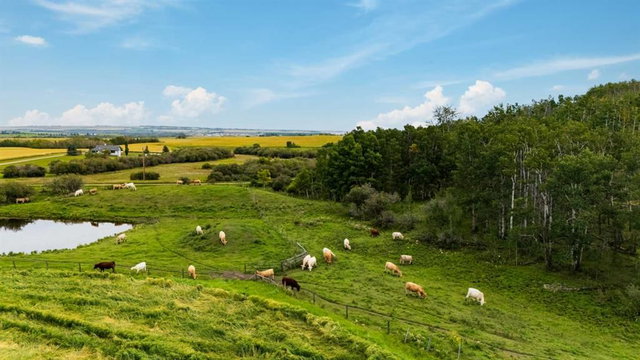 Address not available