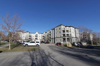 319 - 6000 Somervale Court SW
