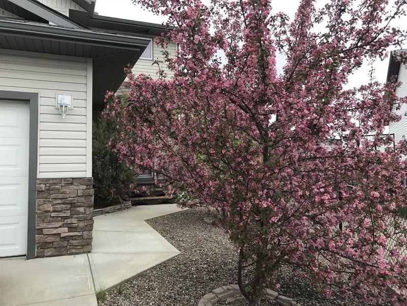 220 Hillcrest Court, Strathmore, T1P 0A4 | Image 2