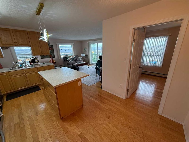 404 - 228 Pembina Avenue