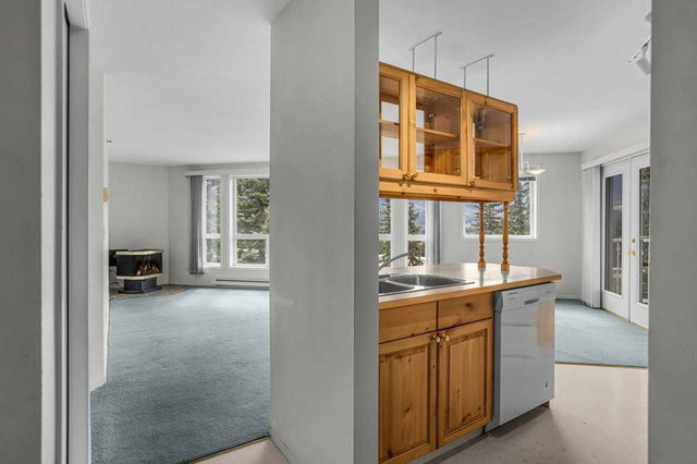 310 - 1080C Cougar Creek Drive