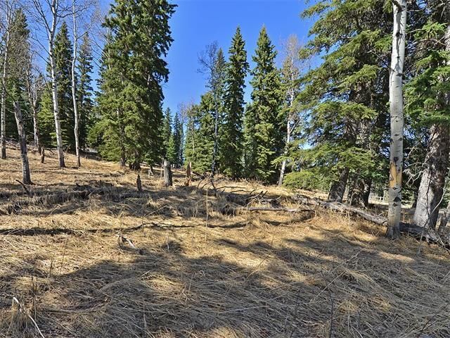 15 Kicking Horse Way, Square Butte — interior photo 5