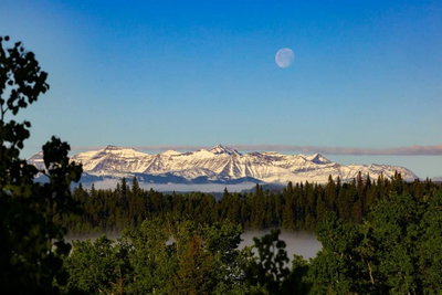 Thumbnail 28
