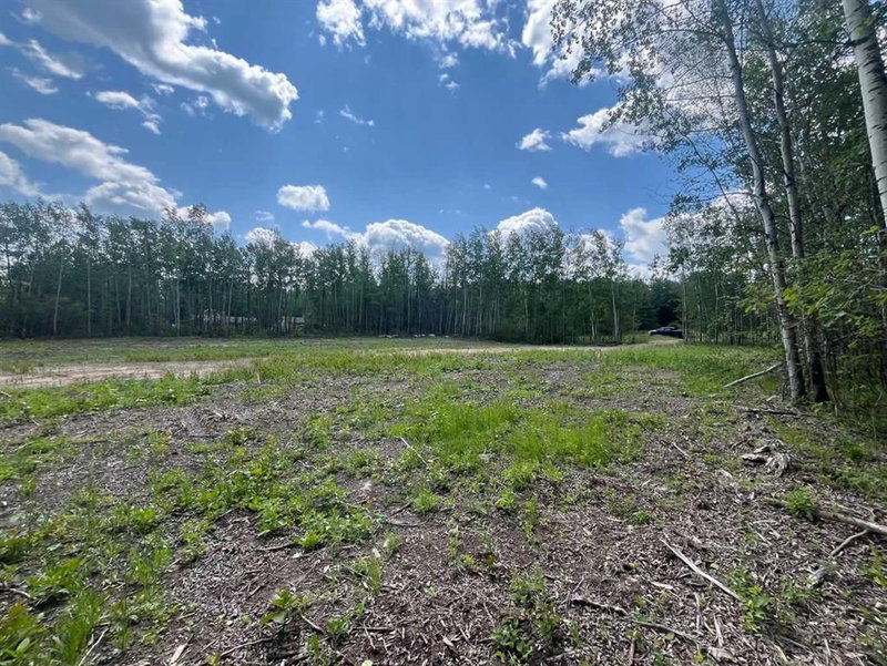 110 Tawatinaw Drive