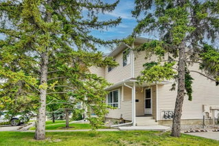 164 Woodsman Lane