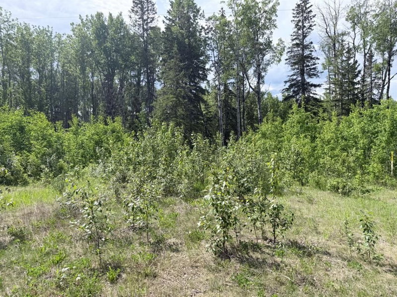 Block 1 Lot 5 Elk Ridge Estates