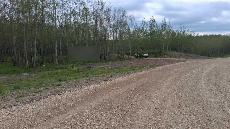 29 - 423011 Range Road 14