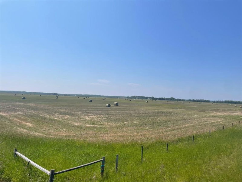 81154 124 Range, Rural Saddle Hills County — listing photo 4