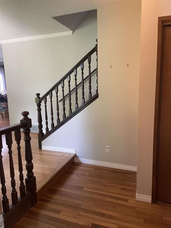 160 Hawkwood Way NW, Hawkwood — interior photo 5