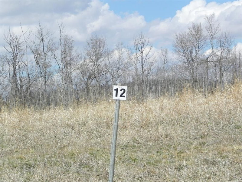 12 - 420069 Range Road 284
