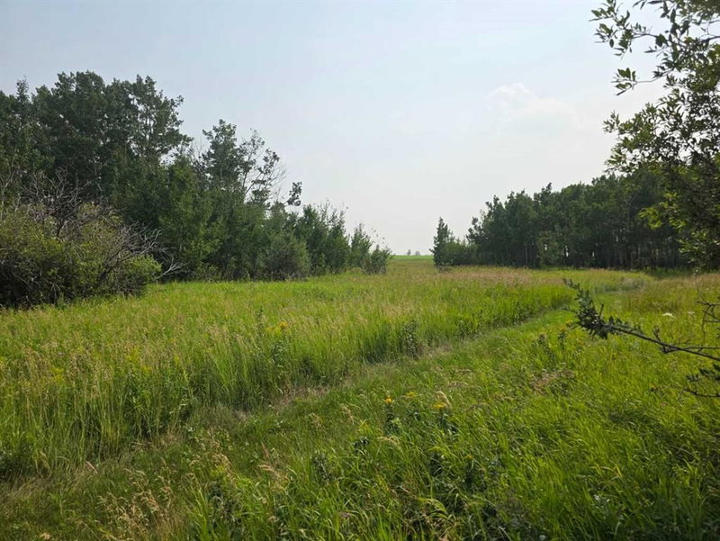 Hwy 783 Rural Foothills County, Rural Foothills County — interior photo 5