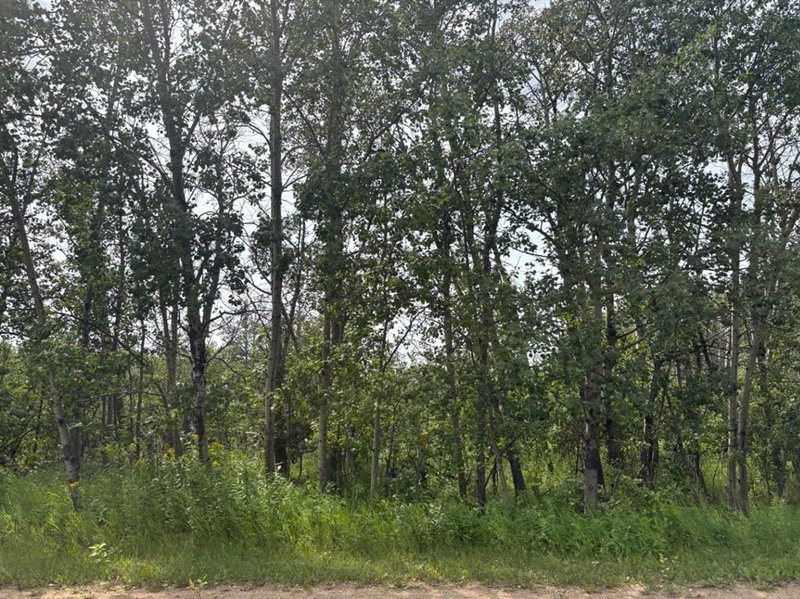 324 - 22113 TWP RD 440