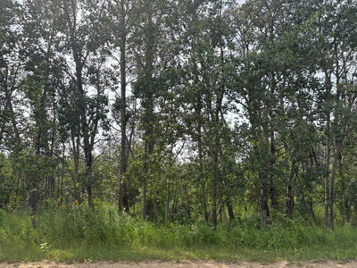 328 - 22113 TWP RD 440